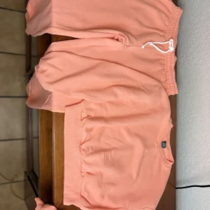 Wild Fable Women's Peach Cropped Sweatshirt & Jogger Set Size S